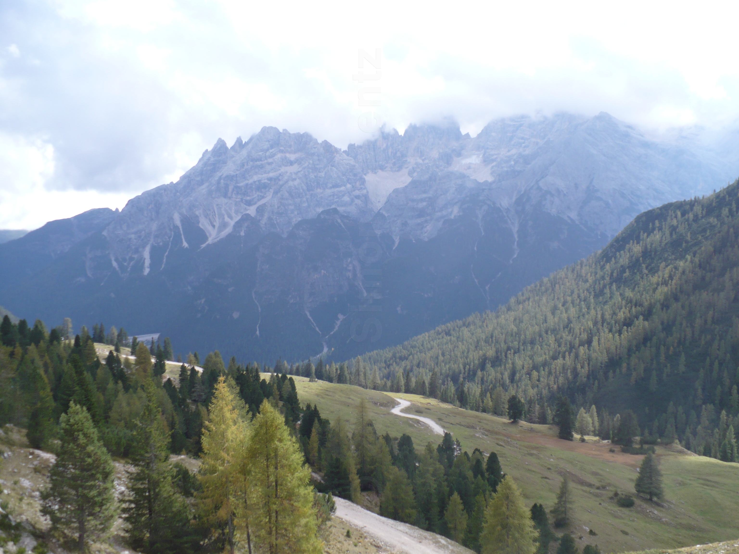 Images/3 Suedtirol_ Ploetzwiese (154).jpg